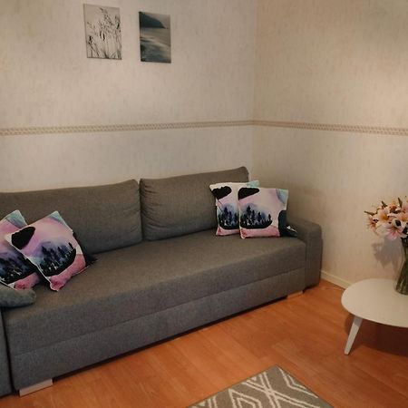 רובניימי Spacious Apartment With Balcony And Free Wifi מראה חיצוני תמונה